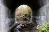 IMAGINE Graffiti in Irish, made by Bill Drummond on a bridge under the R238 near Moville, Donegal, Ireland: 2012. Photograph: Tracey Moberly